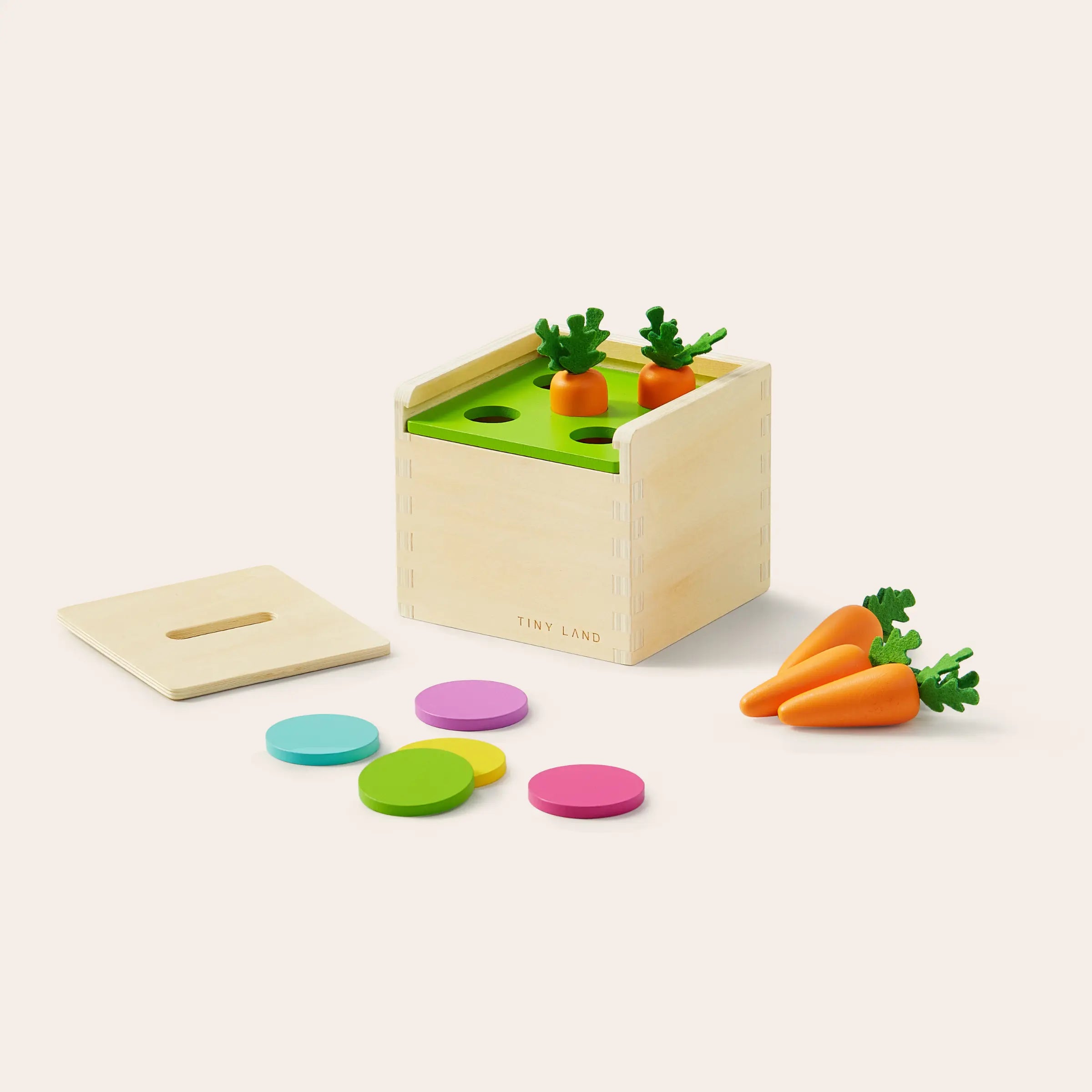 Jouets Montessori Tiny Land® pour les tout-petits (13-15 mois)
