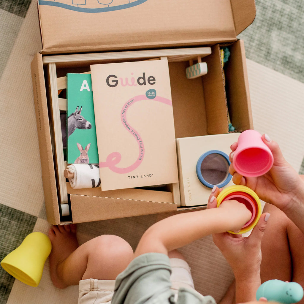 Tiny Land® Juguetes Montessori para niños pequeños (16–18 meses) – Juguetes educativos Montessori